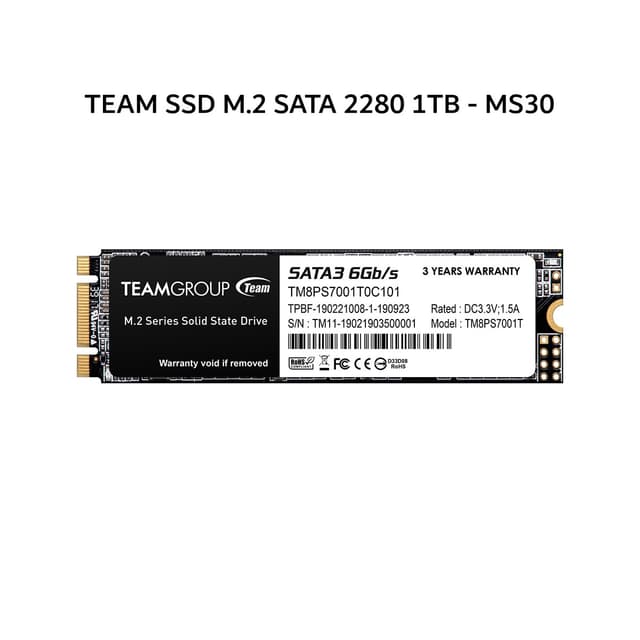 TEAM SSD M.2 SATA 2280 1TB - MS30 5Y - UP TO 500 MB/S