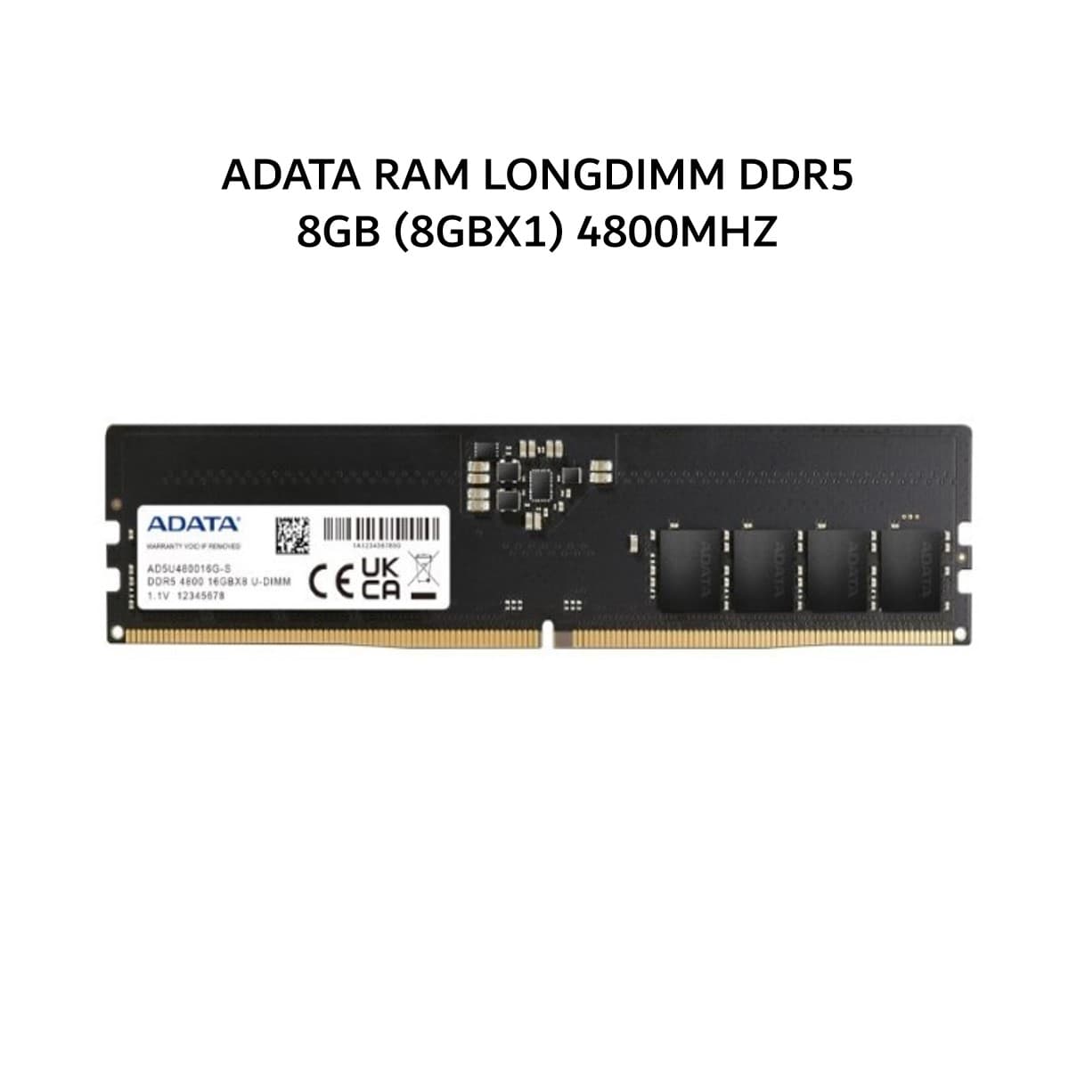 ADATA RAM LONGDIMM DDR5 8GB (8GBX1) 4800MHZ