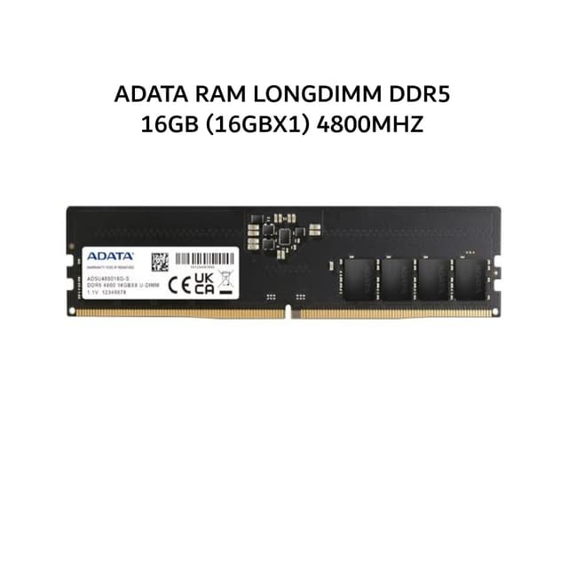 ADATA RAM LONGDIMM DDR5 16GB (16GBX1) 4800MHZ