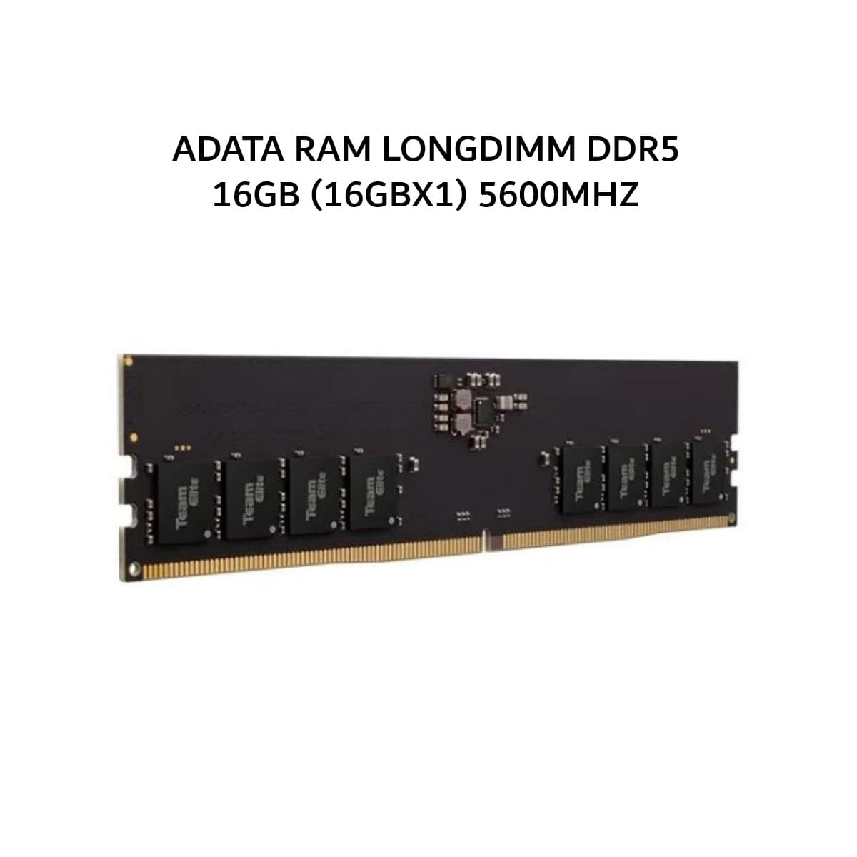 ADATA RAM LONGDIMM DDR5 16GB (16GBX1) 5600MHZ