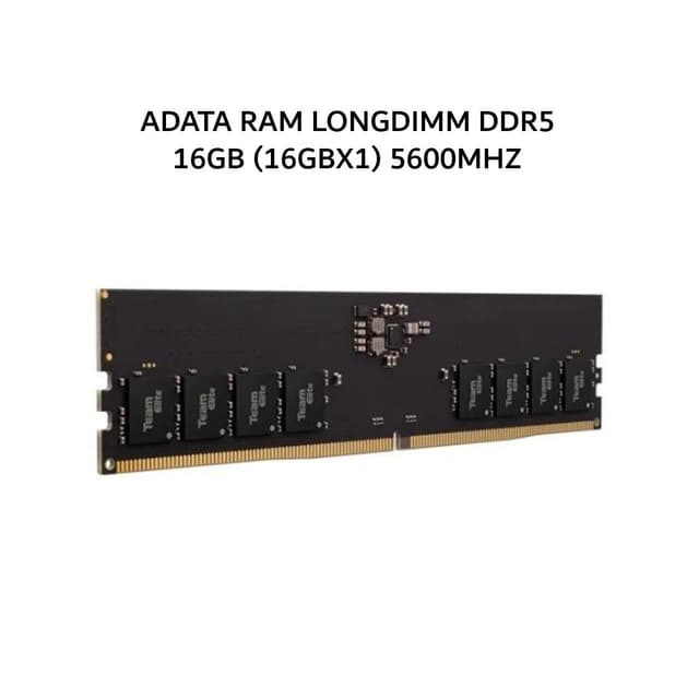 ADATA RAM LONGDIMM DDR5 16GB (16GBX1) 5600MHZ