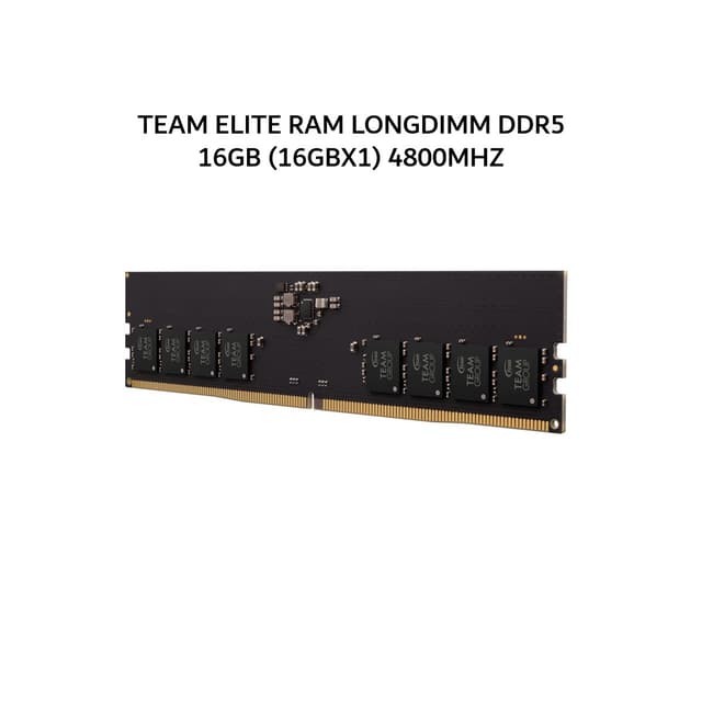 TEAM ELITE RAM LONGDIMM DDR5 16GB (16GBX1) 4800MHZ