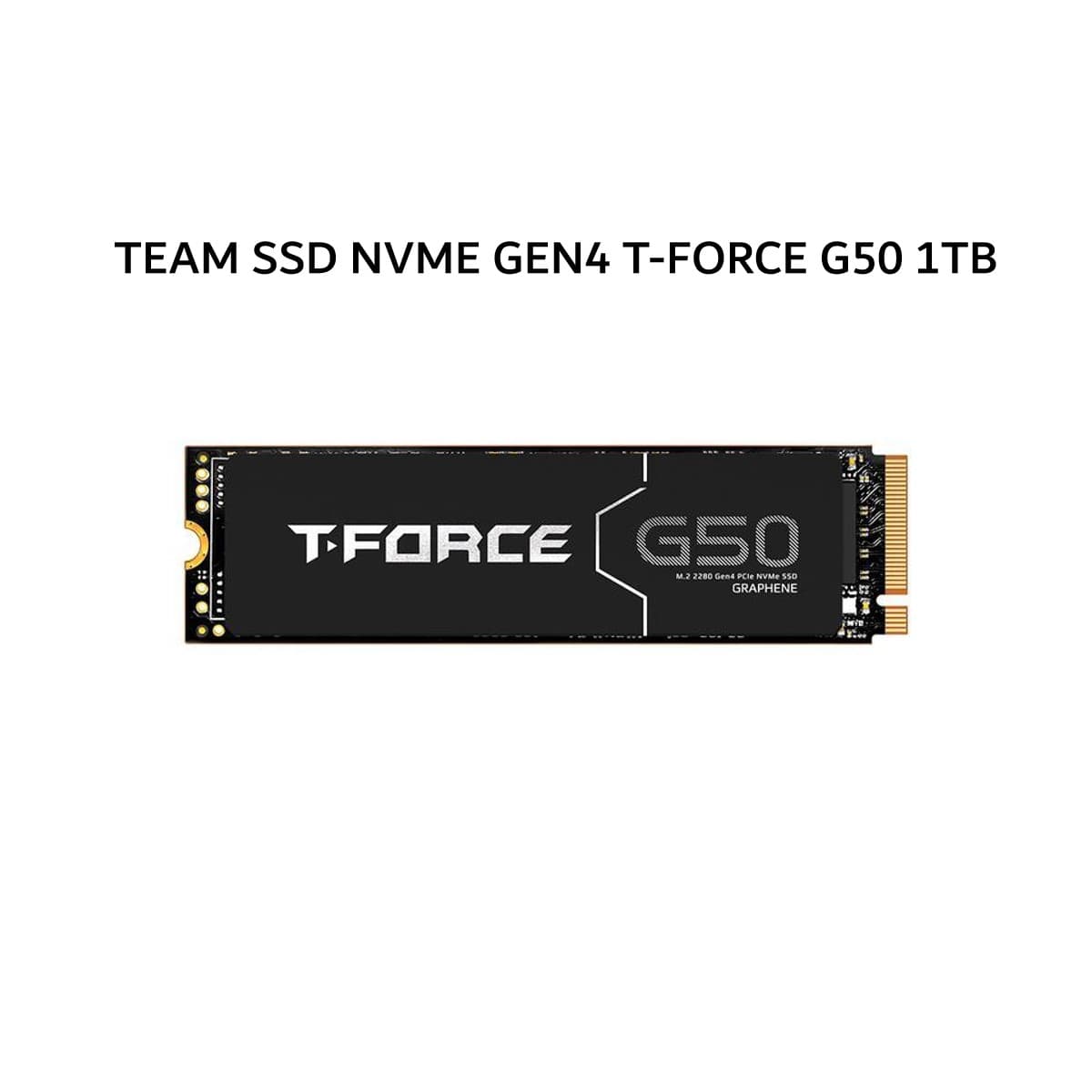 TEAM SSD NVME GEN4 T-FORCE G50 1TB PCIE 4.0 M.2 2280 5Y - UP TO 5000 MB/S