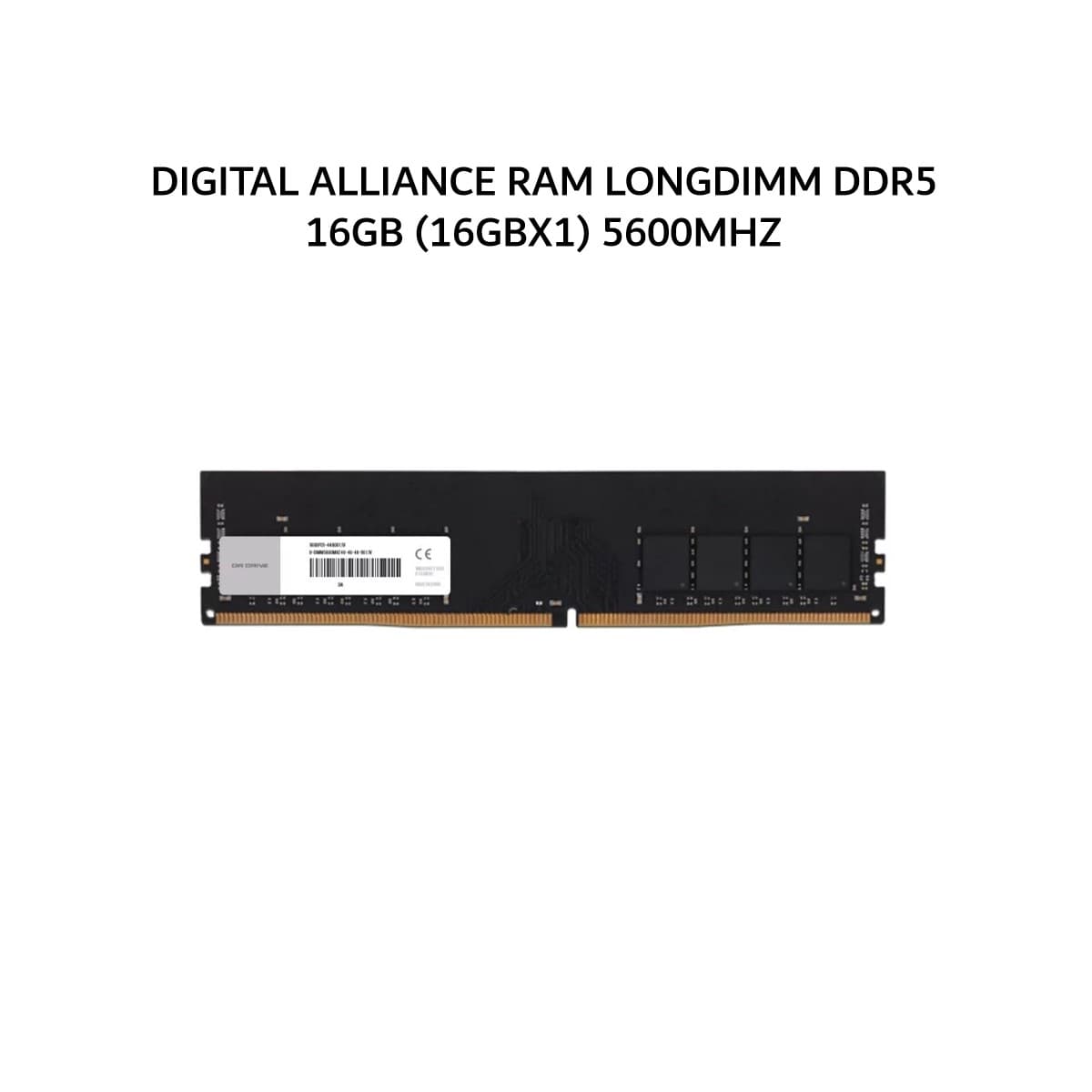 DIGITAL ALLIANCE RAM LONGDIMM DDR5 16GB (16GBX1) 5600MHZ