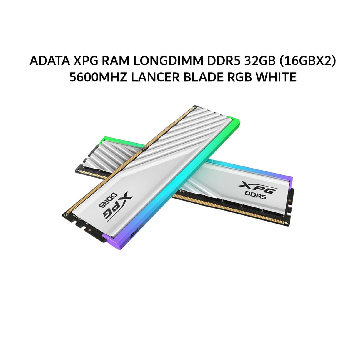 ADATA XPG RAM LONGDIMM DDR5 32GB (16GBX2) 5600MHZ LANCER BLADE RGB WHITE